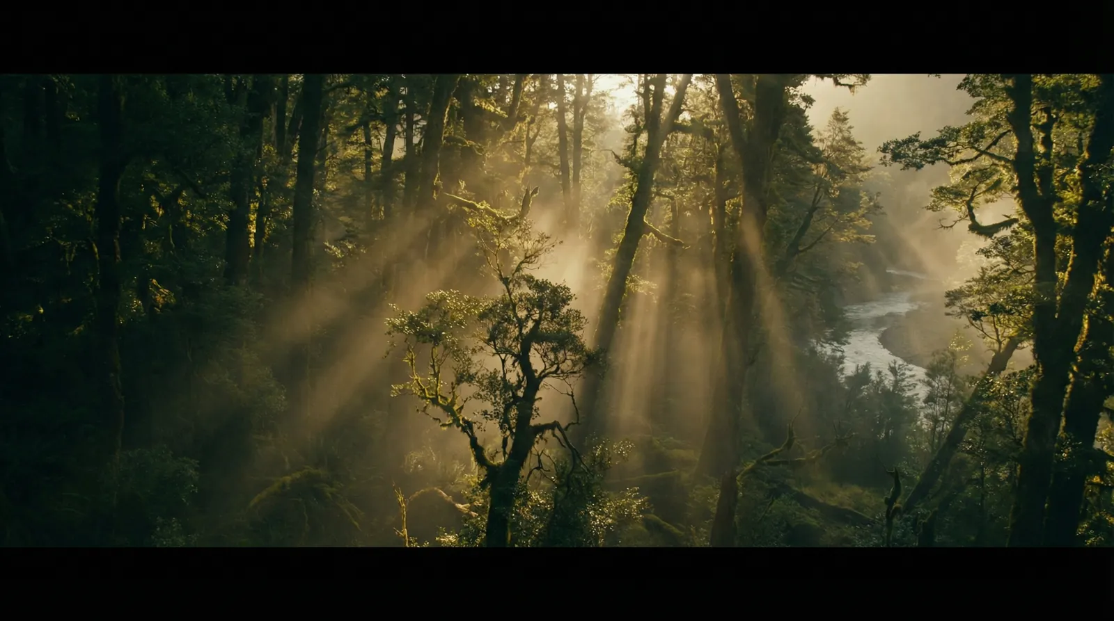 换妻视频 自然纪录片风格调色案例